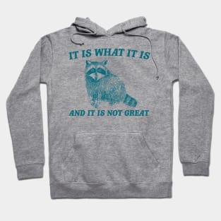 It Is What It Is And It Is Not Great Funny It Is What It Is And It Is Not Great Meme Hoodie